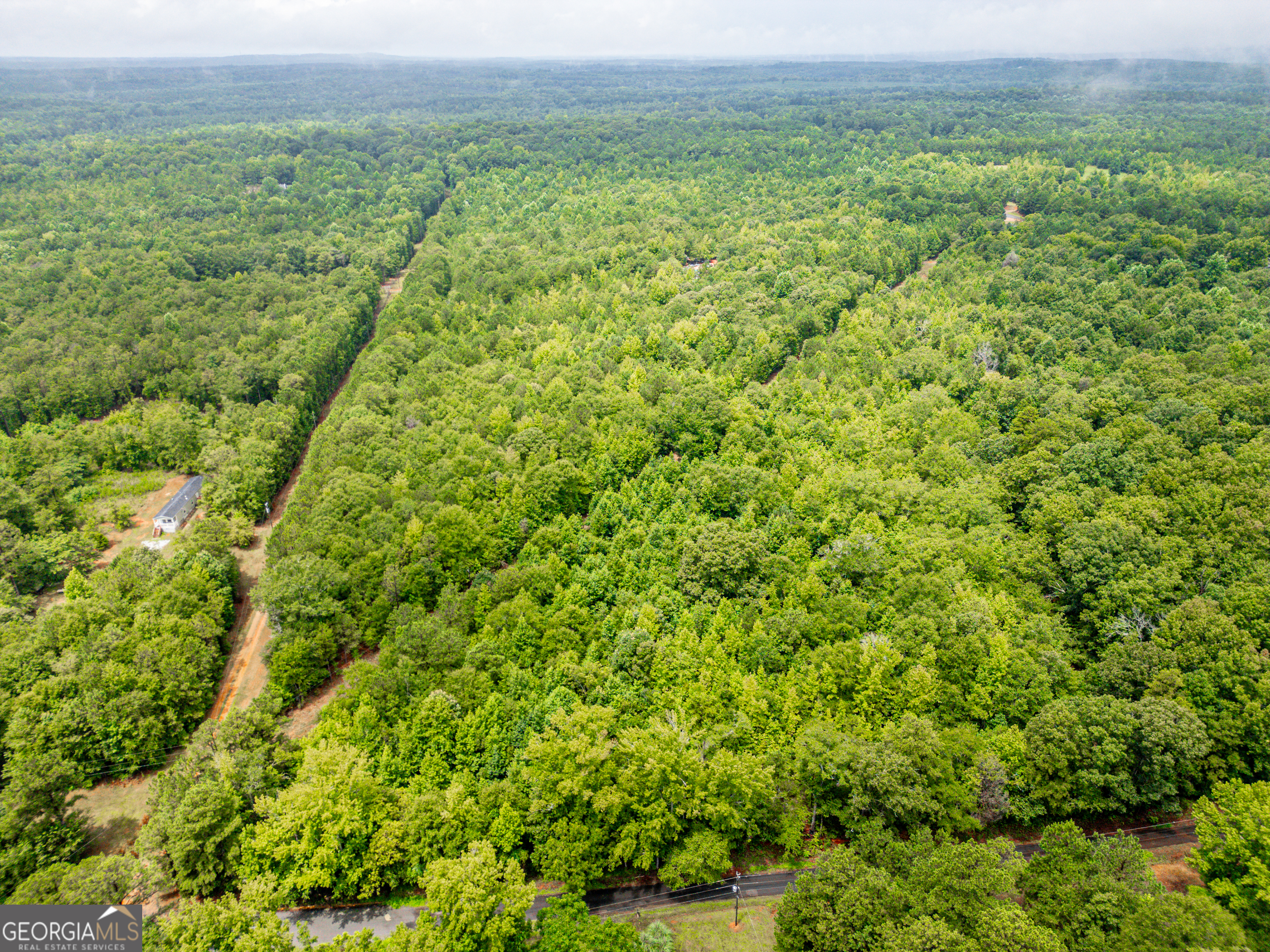 0 Zellner Road Forsyth, GA 31029 - Photo 5 of 6 a view of a green field with lots of bushes