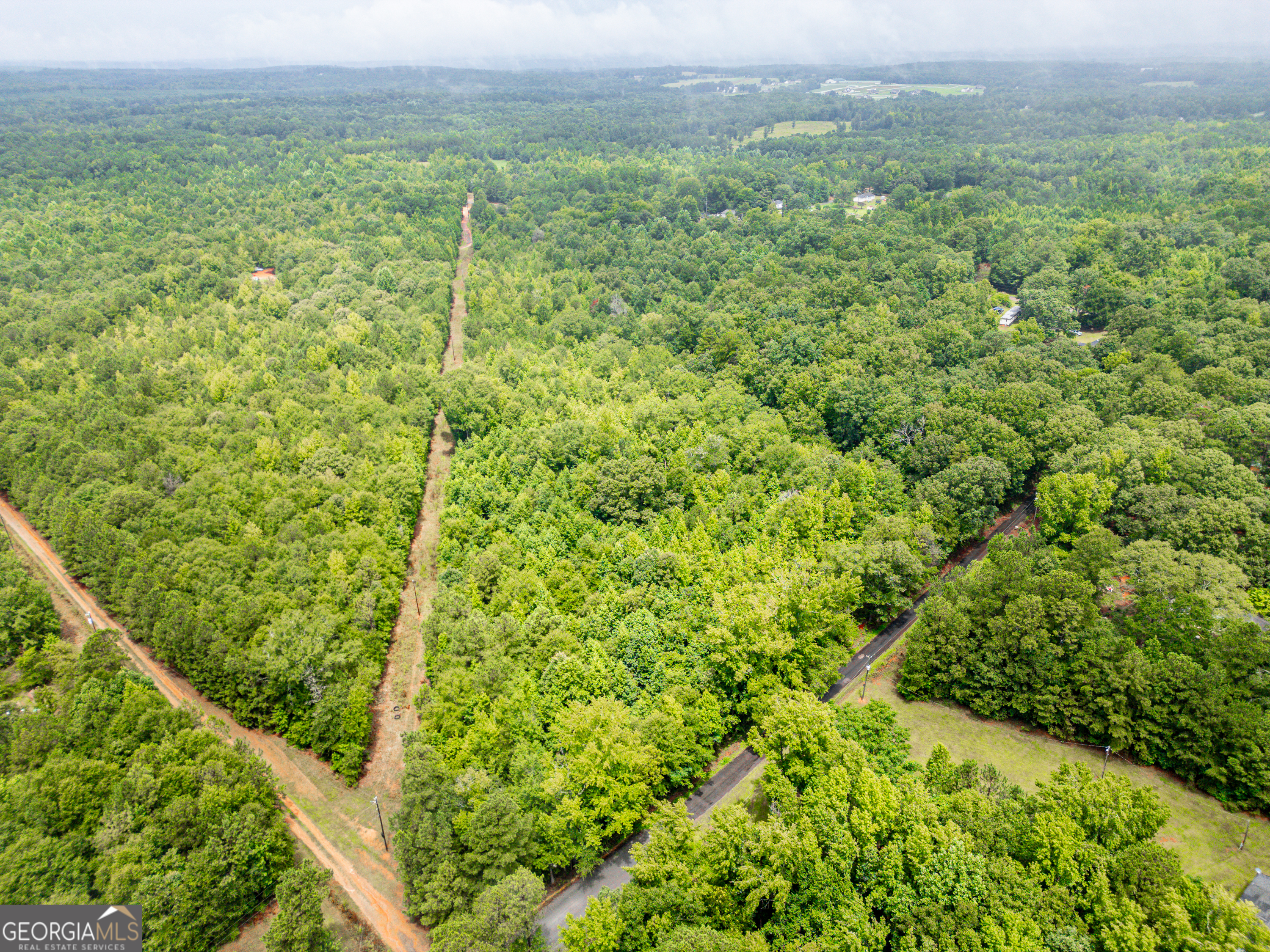 0 Zellner Road Forsyth, GA 31029 - Photo 6 of 6 a view of a green field with lots of bushes