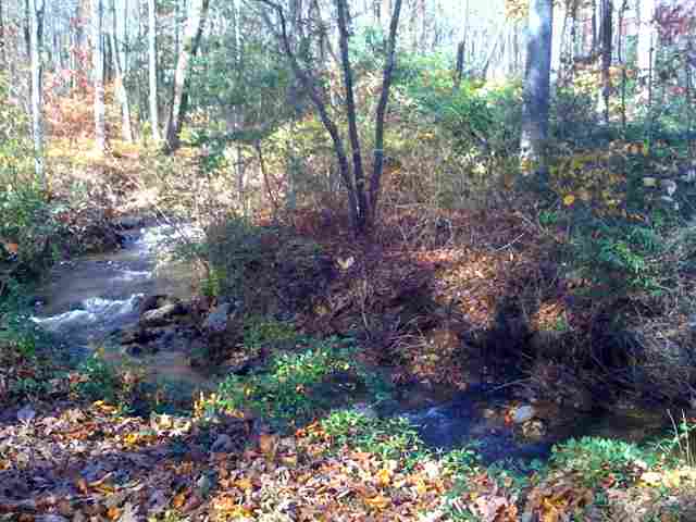 111 Pink Campbell Road Landrum, SC 29356 - Photo 3 of 5
