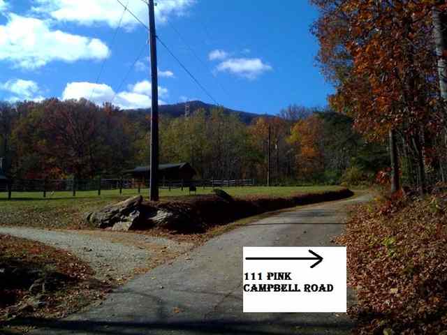 111 Pink Campbell Road Landrum, SC 29356 - Photo 5 of 5