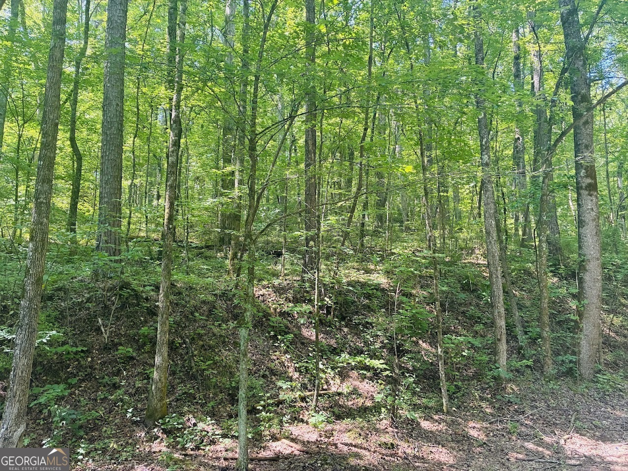0 Forest Glen Road, Unit A Sylacauga, AL 35151 - Photo 3 of 34
