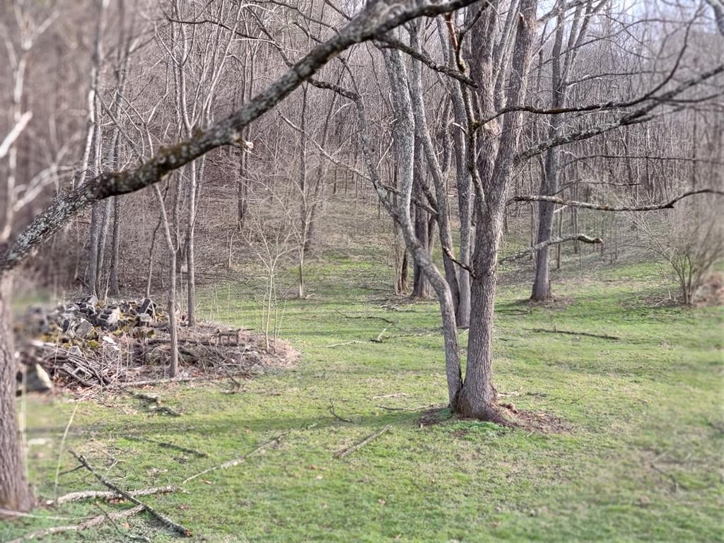 20 Spring View Drive Sevierville, TN 37862 - Photo 3 of 3