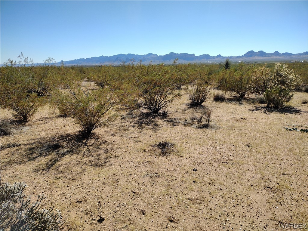 3701 Milky Way Road Golden Valley, AZ 86413 - Photo 8 of 18 Gallery Image 8