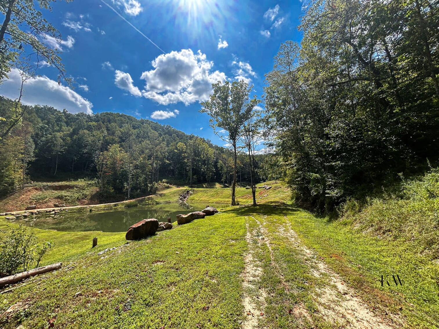 170 Birch Hollow Road Stanton, KY 40380 - Photo 4 of 25