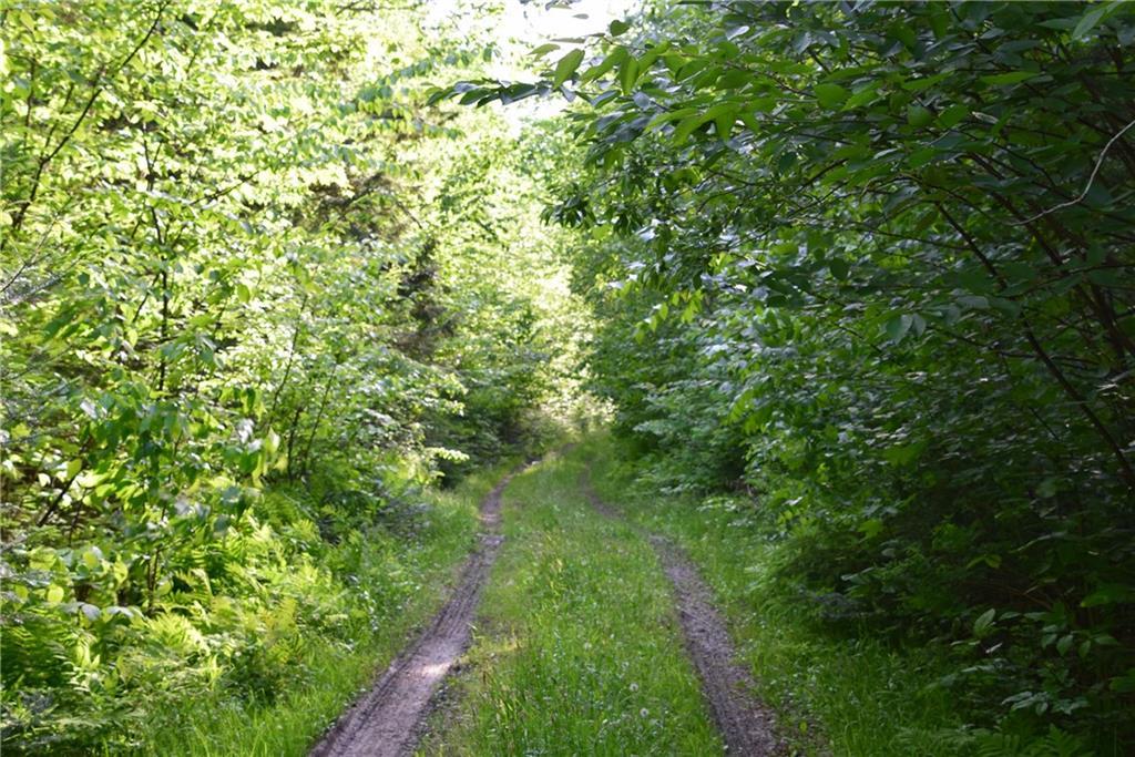 On Oliver Hill Road Garland, ME 04939 - Photo 6 of 28 Photo