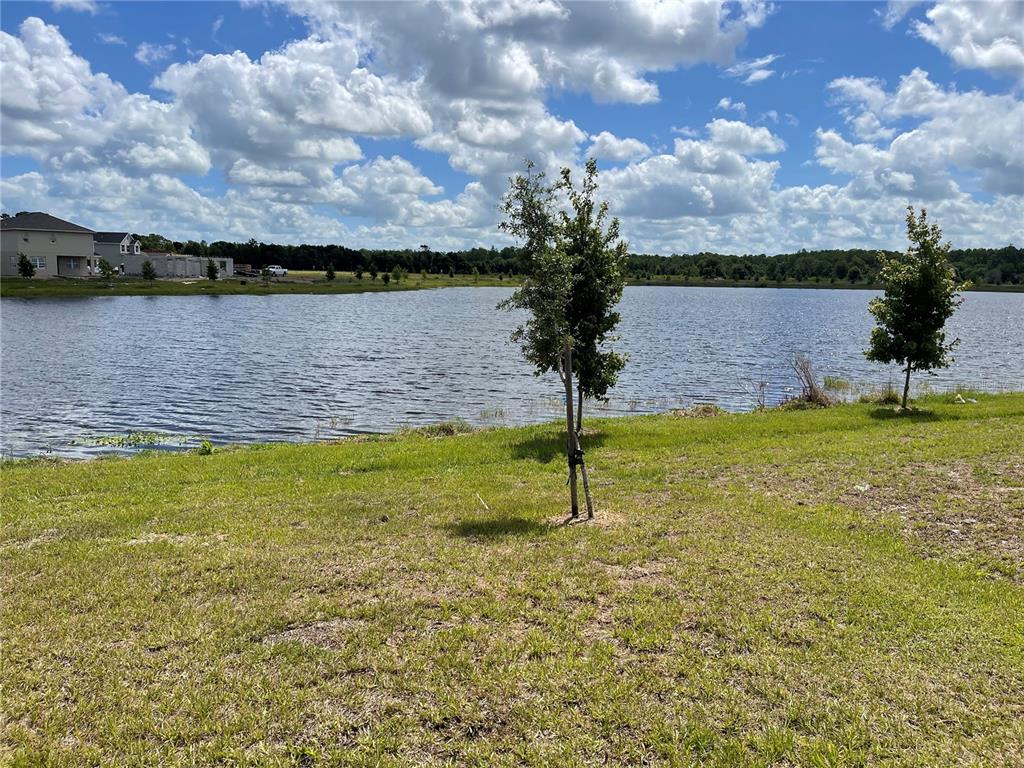 7569 Bent Tree Loop St. Cloud, FL 34773 - Photo 7 of 14