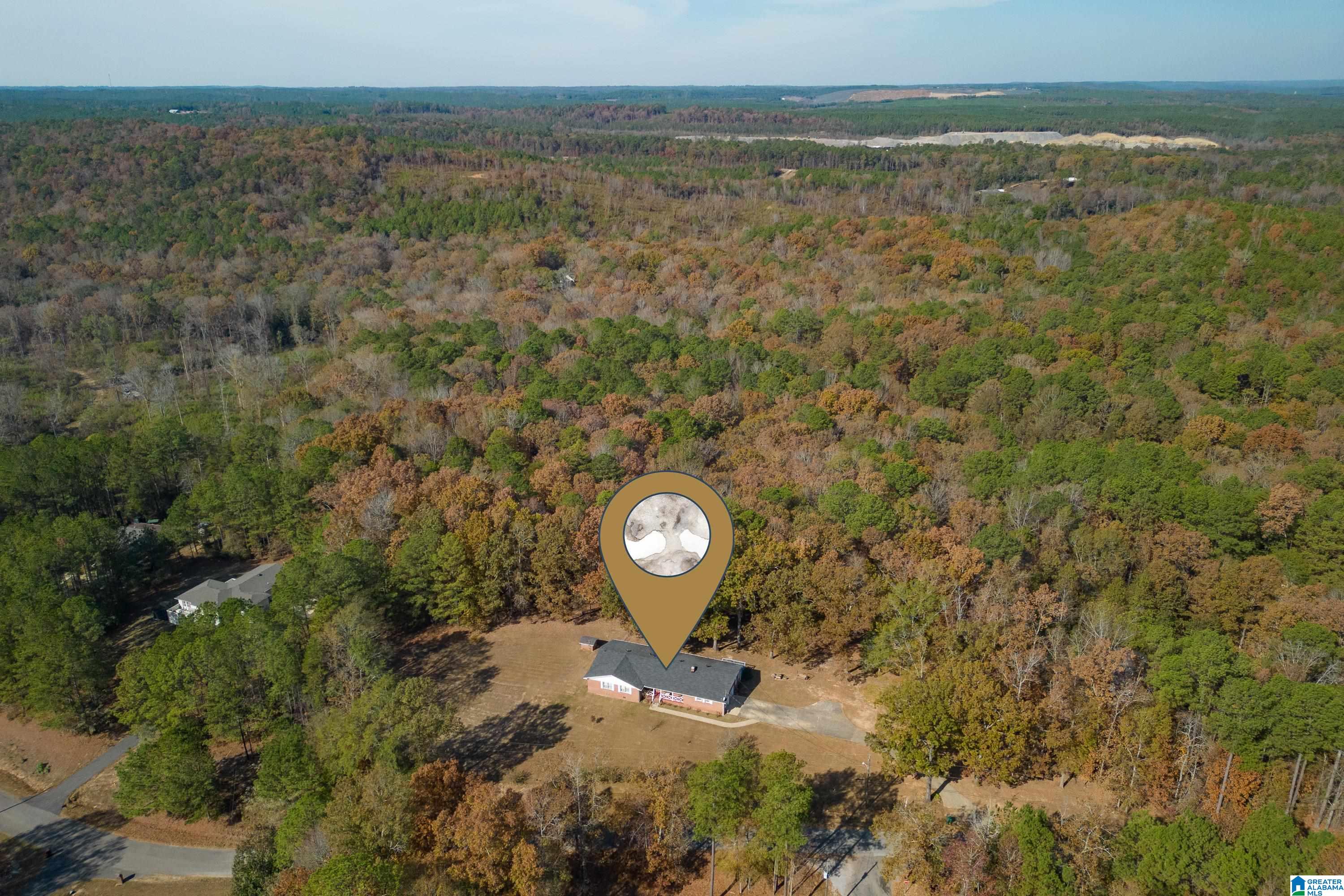 13026 Hobby Horse Road Vance, AL 35490 - Photo 37 of 48