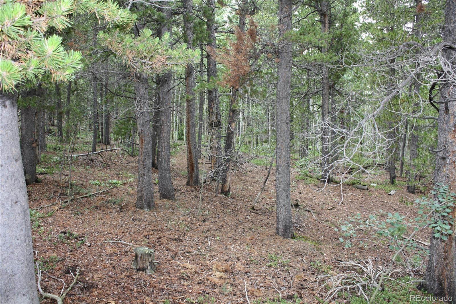 115 Aurora Road Black Hawk, CO 80422 - Photo 11 of 14 Gallery Image 11