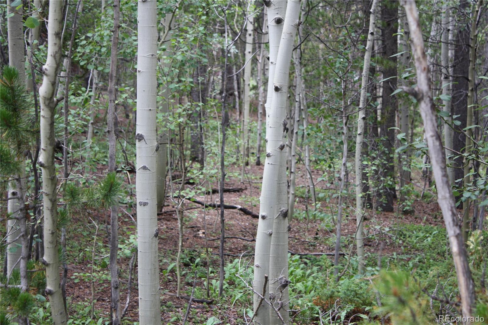 115 Aurora Road Black Hawk, CO 80422 - Photo 12 of 14 Gallery Image 12