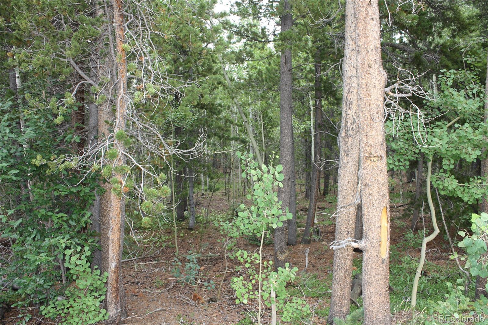 115 Aurora Road Black Hawk, CO 80422 - Photo 14 of 14 Gallery Image 14