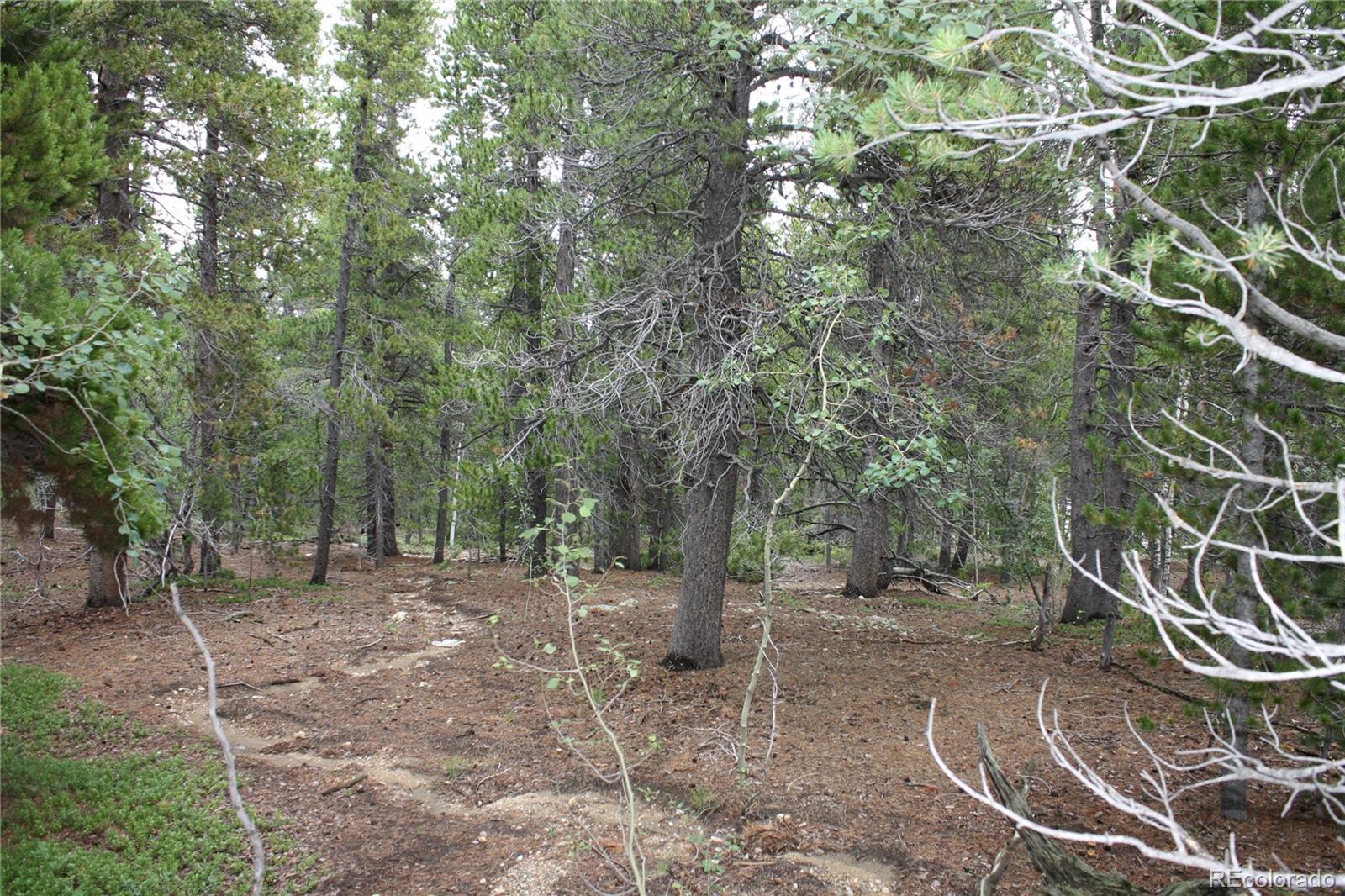 115 Aurora Road Black Hawk, CO 80422 - Photo 10 of 14 Gallery Image 10