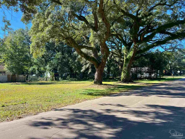 a view of a swimming pool in a yard with palm trees