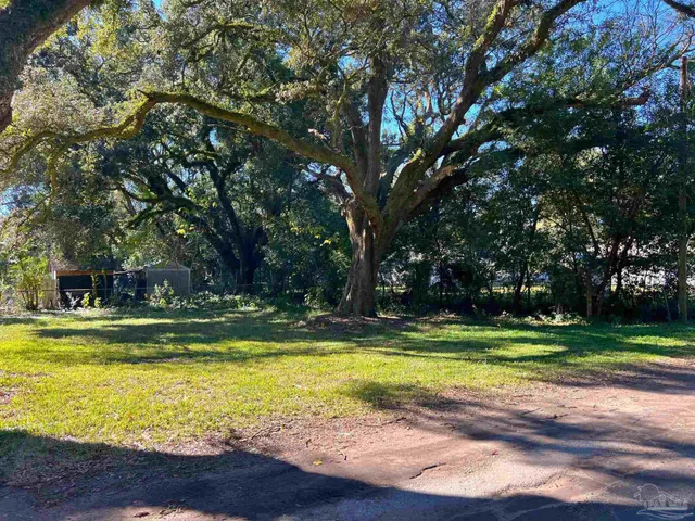 a view of a tree in the middle of a yard