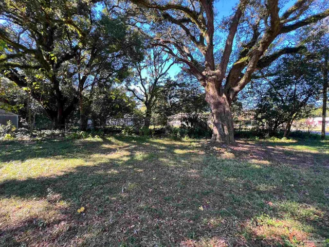 a view of a yard with large trees