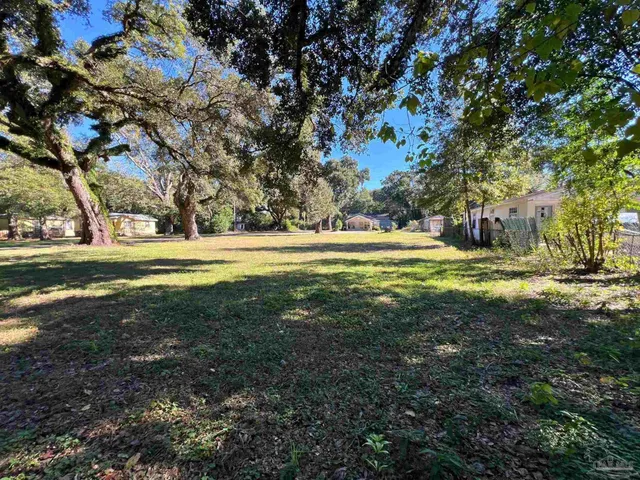 a big yard with lots of green space