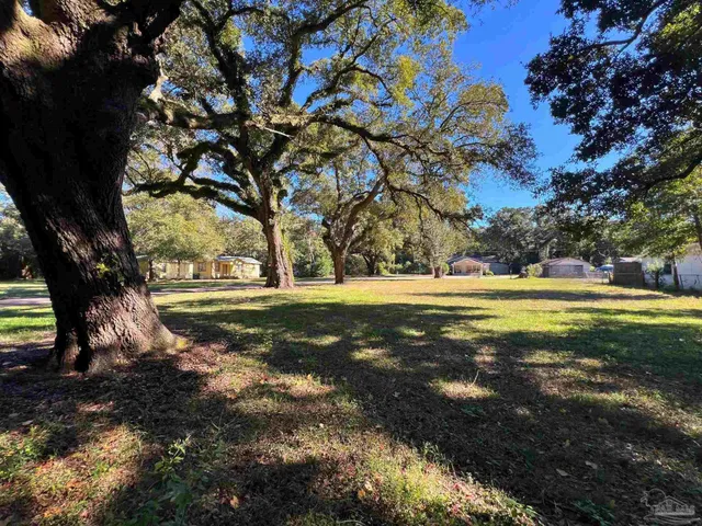 a big yard with lots of green space and plants