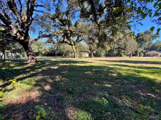 a view of yard with trees