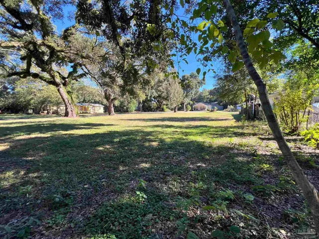 a view of outdoor space with trees all around