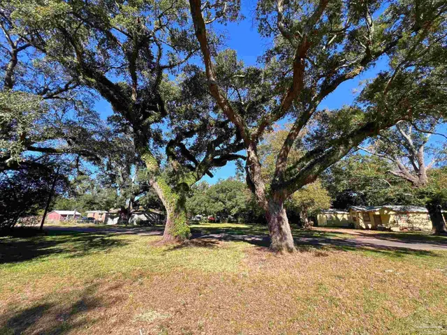 a view of yard with large trees and plants
