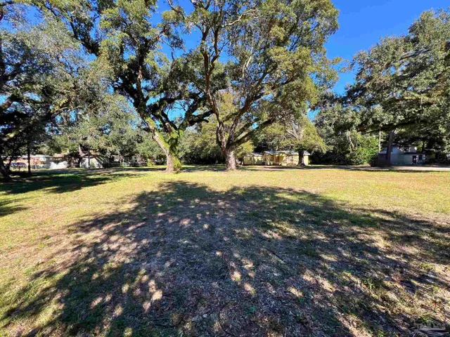 a view of a yard with an trees