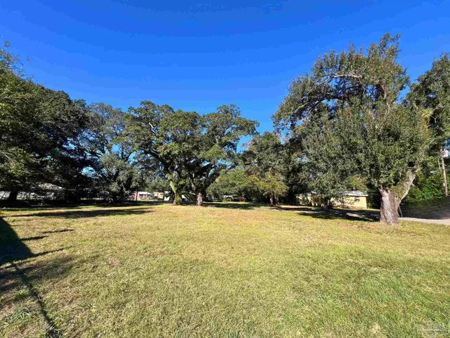 a view of a yard with an trees