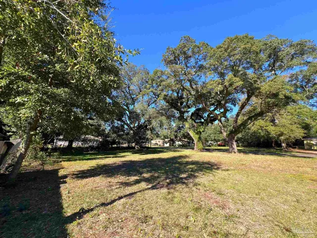 a view of outdoor space with trees