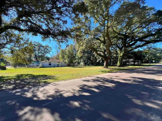 a view of yard with large trees