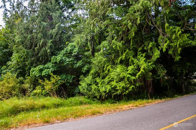 a view of backyard with green space