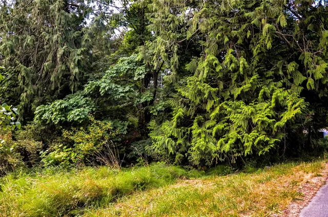 a view of a swimming pool with a yard and sitting area