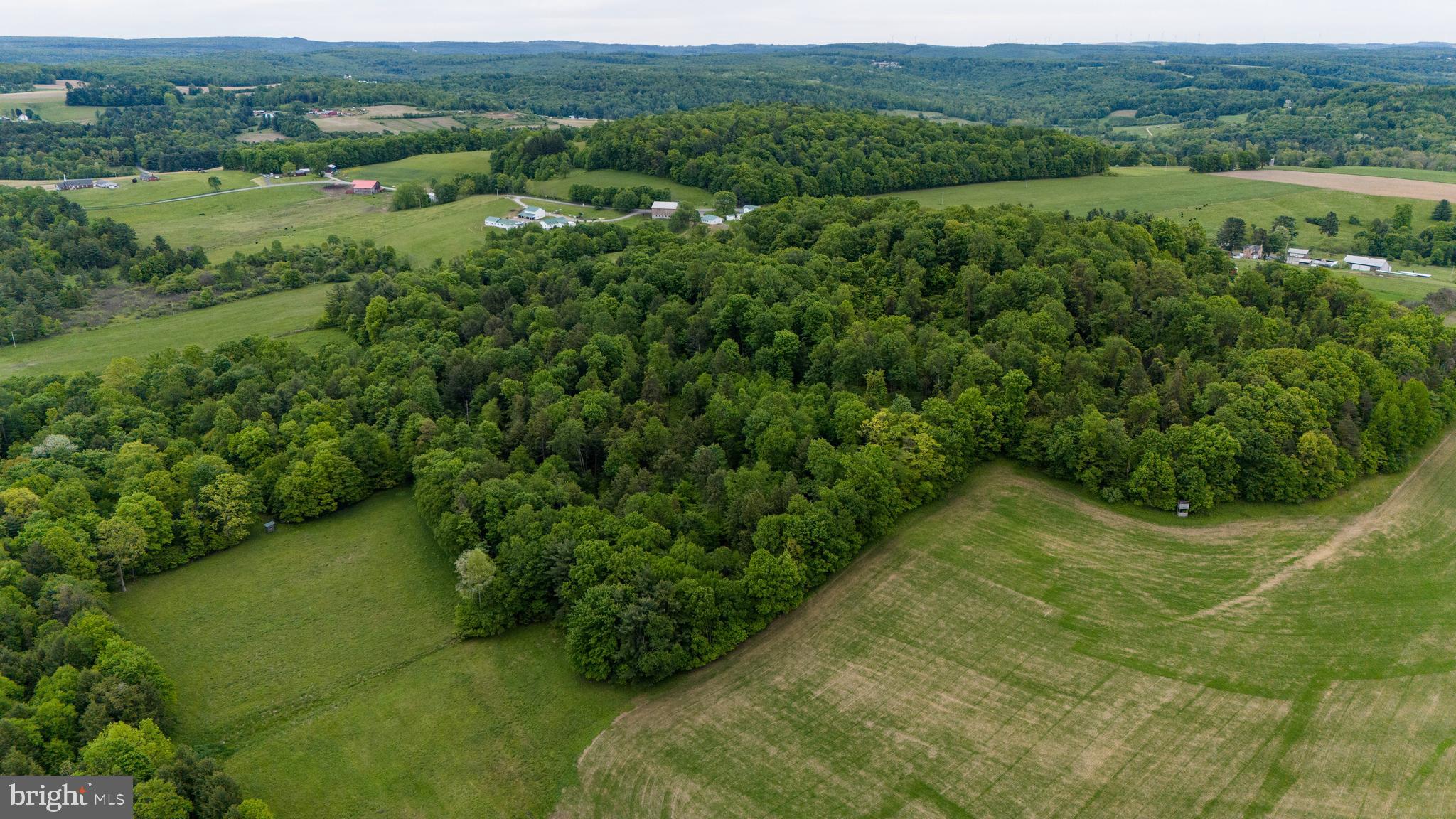 2431 Sylvis Road Cherry Tree, PA 15724 - Photo 71 of 79