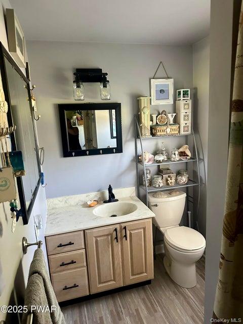 355-359 German Hill Road Shohola, PA 18458 - Photo 38 of 50 a bathroom with a toilet a sink and a mirror