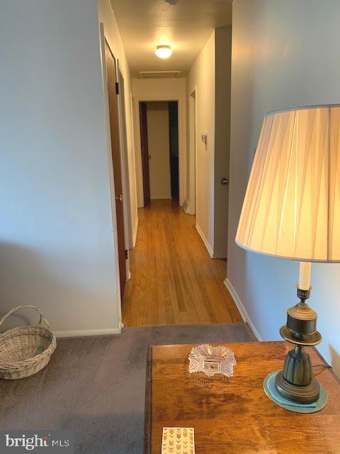 10 Rene Carr Street Elkton, MD 21921 - Photo 15 of 30 Hallway