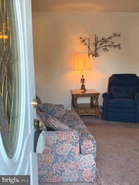 10 Rene Carr Street Elkton, MD 21921 - Photo 7 of 30 Entry