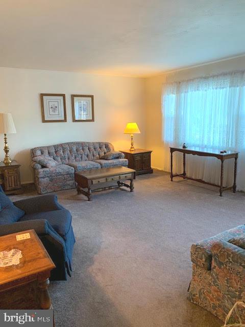10 Rene Carr Street Elkton, MD 21921 - Photo 10 of 30 Living Room