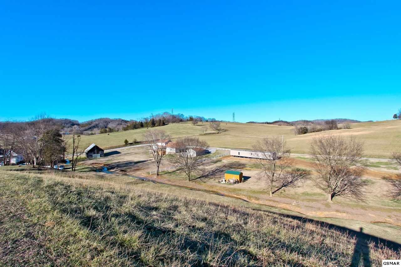 64 Upper West Road Parrottsville, TN 37843 - Photo 27 of 34 Gallery Image 27