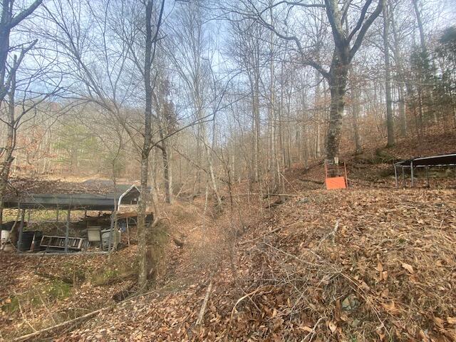 388 Kettle Creek Road Liberty, KY 42539 - Photo 24 of 71 IMG_0027