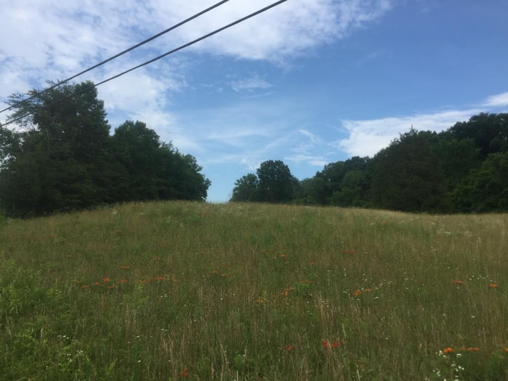 0 Rader Sidetrack Road Mosheim, TN 37818 - Photo 3 of 15 Photo 3