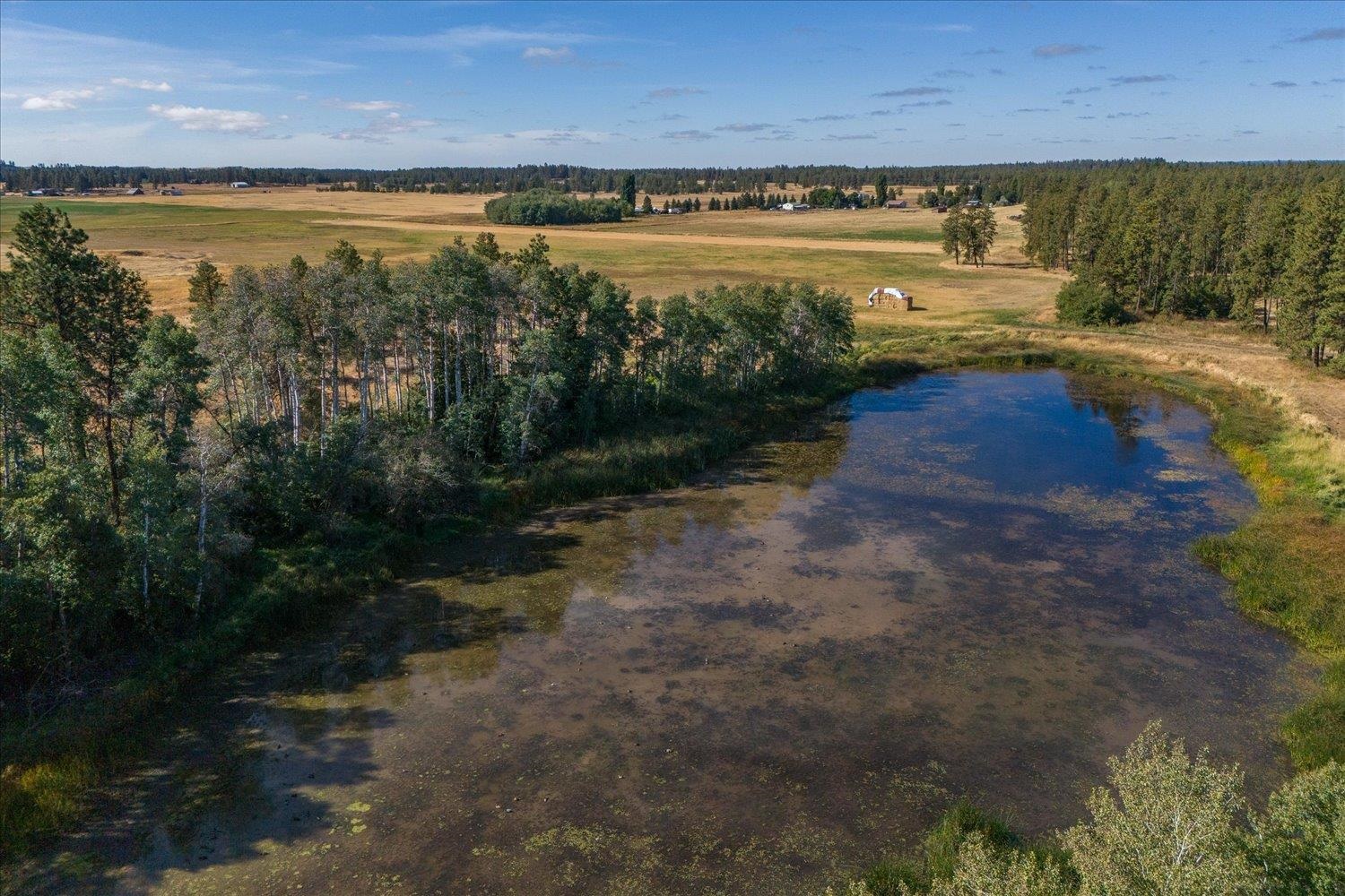 102 East Cameron Road Spangle, WA 99031 - Photo 13 of 39
