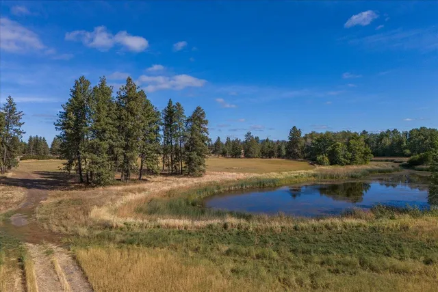 $3,100,000 | 102 East Cameron Road, Spangle, WA 99031