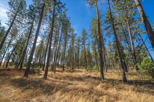 $3,100,000 | 102 East Cameron Road, Spangle, WA 99031