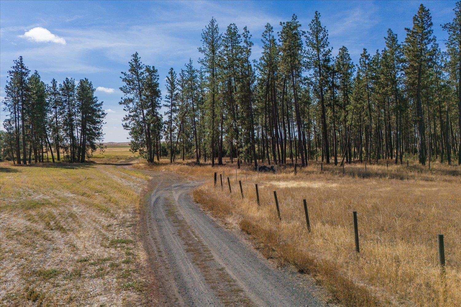 102 East Cameron Road Spangle, WA 99031 - Photo 16 of 39