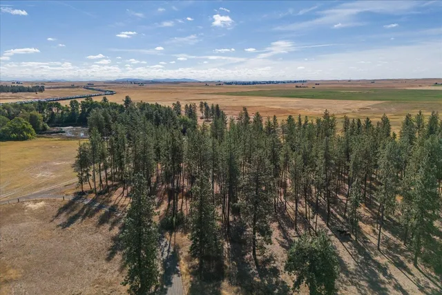 $3,100,000 | 102 East Cameron Road, Spangle, WA 99031