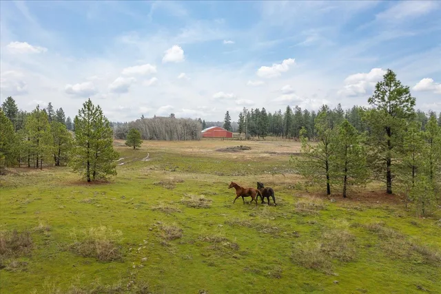$3,100,000 | 102 East Cameron Road, Spangle, WA 99031