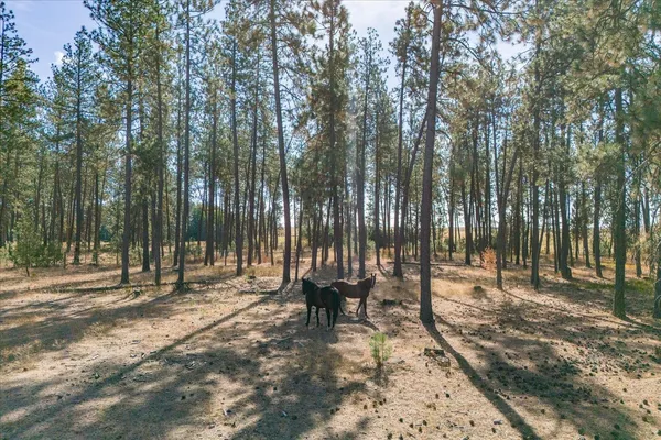 $3,100,000 | 102 East Cameron Road, Spangle, WA 99031