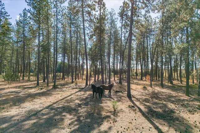 $3,100,000 | 102 East Cameron Road, Spangle, WA 99031