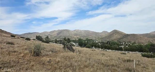 a view of a dry yard with mountains in the background