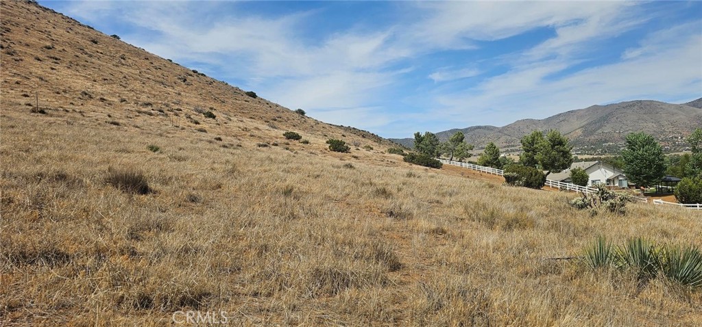 0 Sourdough Road Acton, CA 93510 - Photo 4 of 8 a view of a dry yard with mountains in the background
