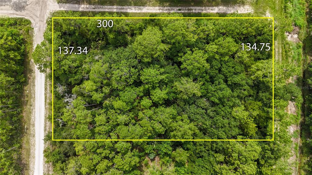 5446 Mango Avenue Bunnell, FL 32110 - Photo 4 of 17