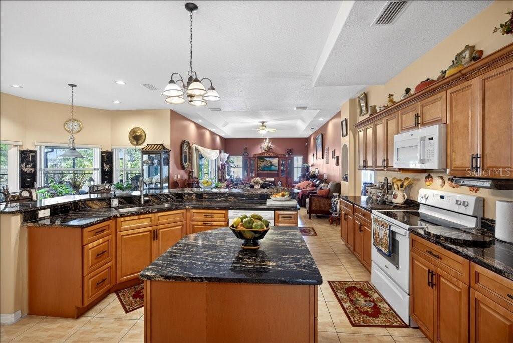 52 Upshire Path Palm Coast, FL 32164 - Photo 3 of 62