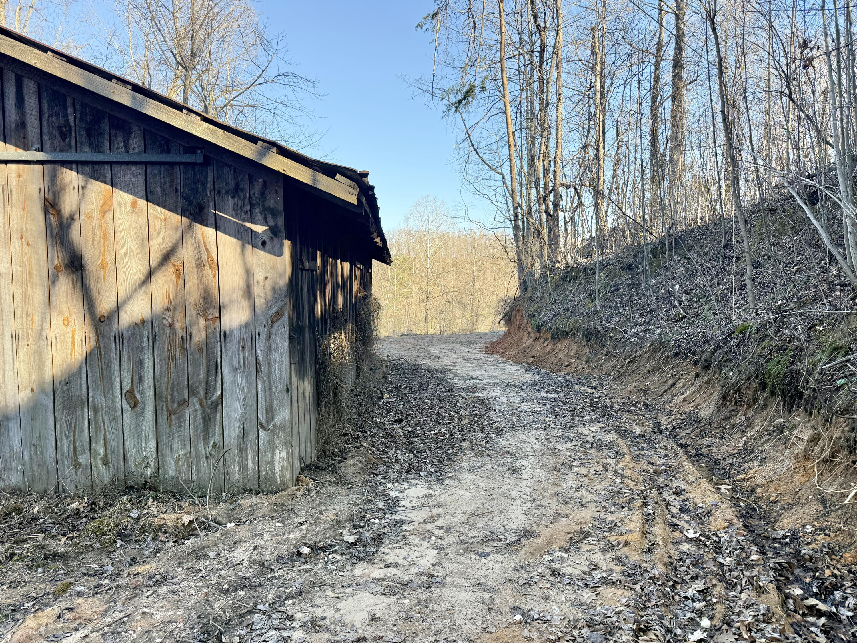 220 Mt Hope Road Morehead, KY 40351 - Photo 21 of 32 Access drive